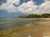 Playa el Gallito - VIEQUES